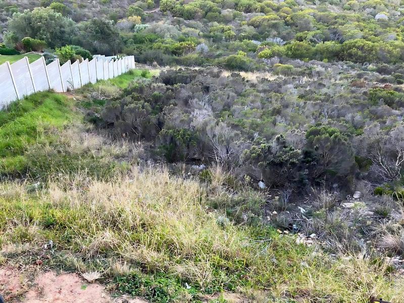 0 Bedroom Property for Sale in Seemeeu Park Western Cape
